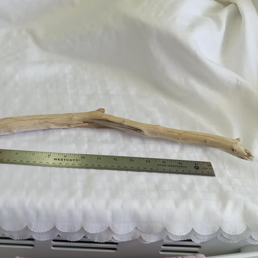 No4 Hand-collected big piece of driftwood, cleaned for aquarium/terrarium/craft